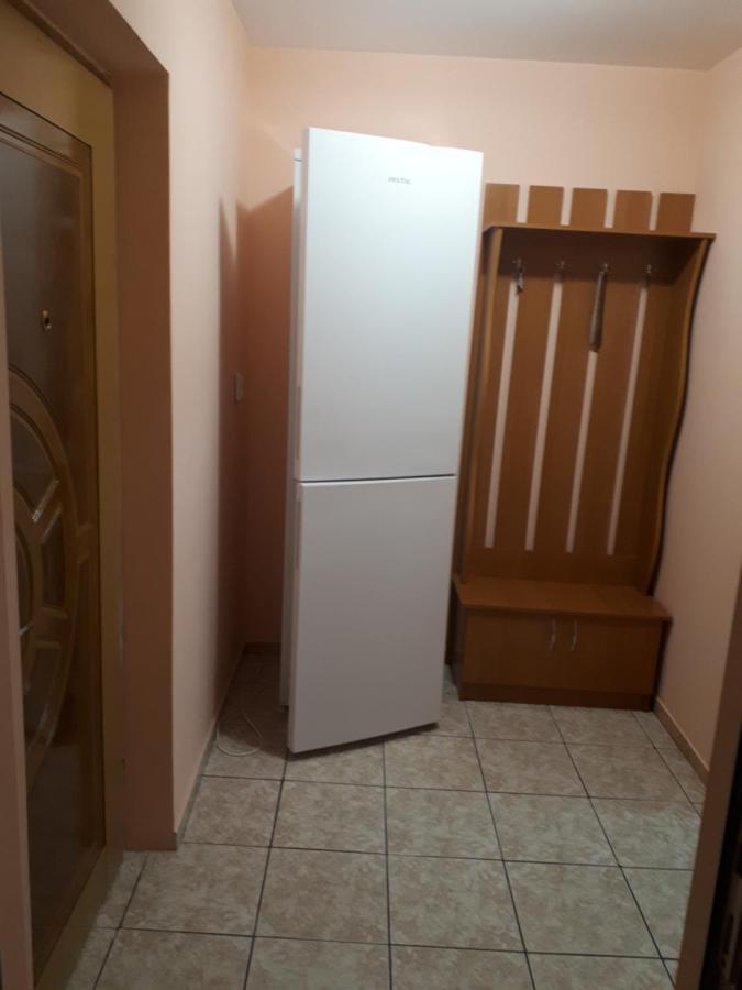 Apartament 2 Camere Semidecomandat "La Gicu" Σουλινάς Εξωτερικό φωτογραφία