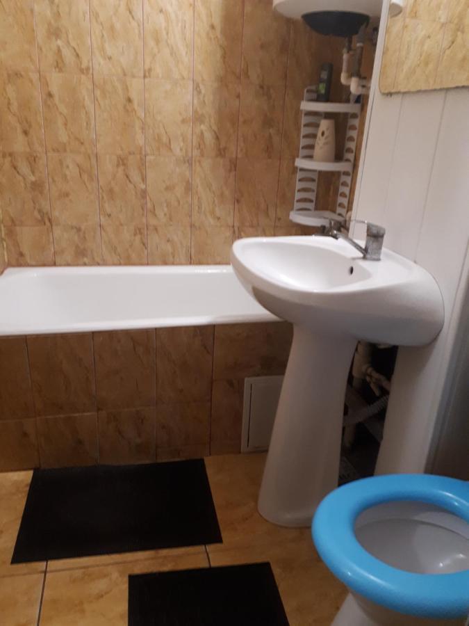 Apartament 2 Camere Semidecomandat "La Gicu" Σουλινάς Εξωτερικό φωτογραφία
